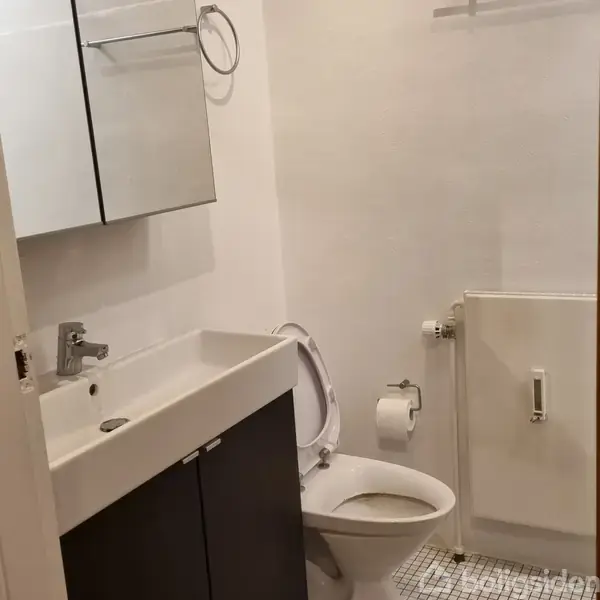 Håndvask med hane er fastgjort til væggen over et skab. Toilet med åben låg ved siden af. Toiletpapirrulle på holder monteret på væggen i et lille badeværelse.
