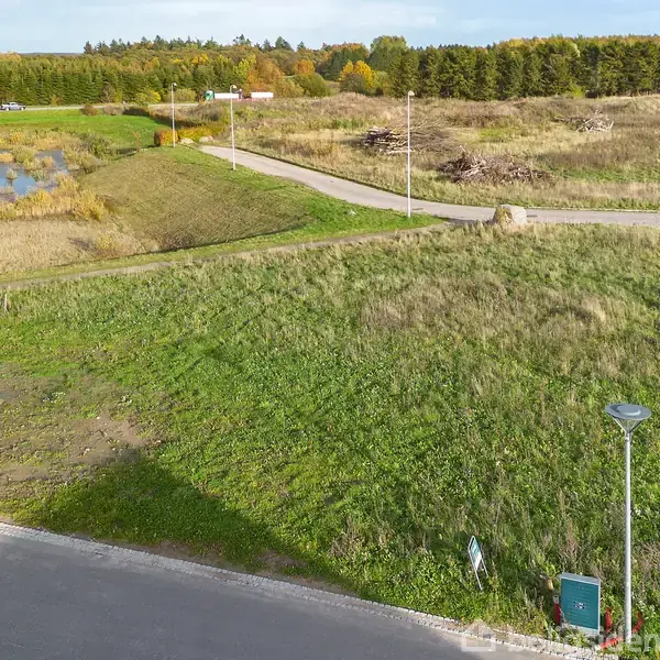 En græsmark med en enkelt lygtepæl, omgivet af en asfaltvej. I baggrunden er der en lille dam og et område med træer og buske.