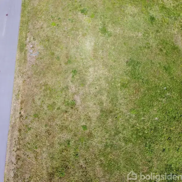 En stor, grøn græsplæne ligger til højre for en grå asfaltvej; til venstre ses en hæk og en indkørsel.