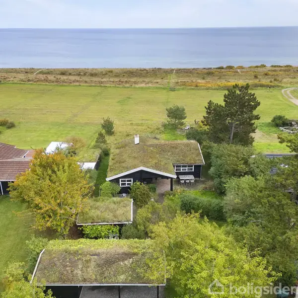 Et sommerhus med græs på taget står blandt træer nær kysten. Der er en anden bygning til venstre med et brunt tag, og havet kan ses i baggrunden.