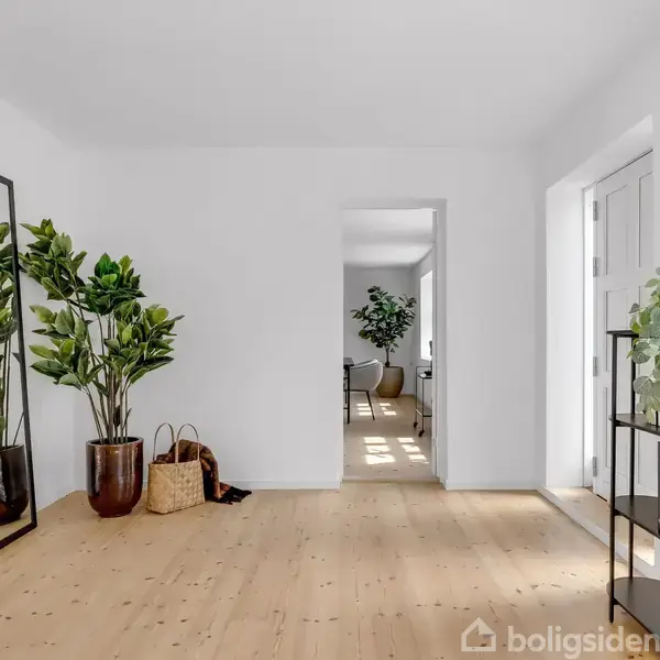 Spejl står op ad væggen i en lys stue med trægulv, flankeret af grønne planter i potter. Til højre en reol med planter, og en døråbning fører til et andet rum.