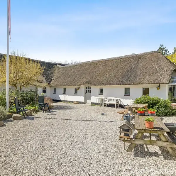 Stråtækt hvid bondegård står på grusgårdsplads i solskin. Bord og stole er placeret udenfor. Blomster og planter dekorerer området, omgivet af bygningens hvide vægge og pænt haverum.