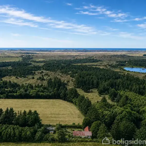 Stue med kurvemøbler og træbord, dekoreret med planter og billeder på væggene. Sollys strømmer ind gennem vinduerne, hvilket skaber en lys og indbydende atmosfære.
