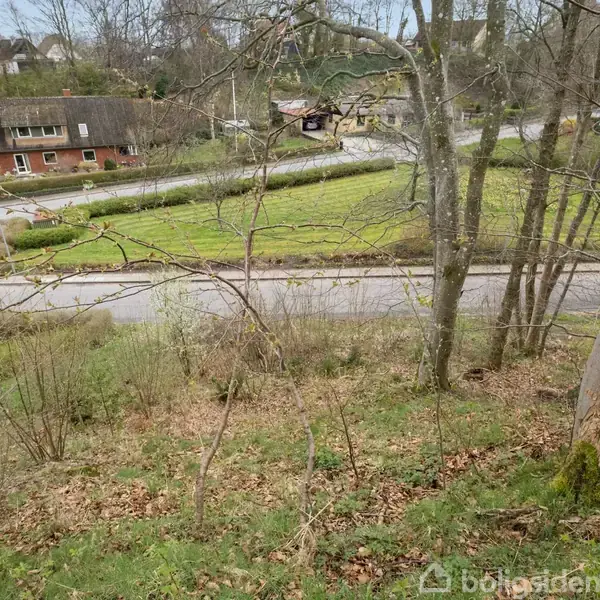 Et skrånende skovområde med nøgne træer og græs fører ned til en vej; i baggrunden ses et rødt hus med græsplæner og hække.