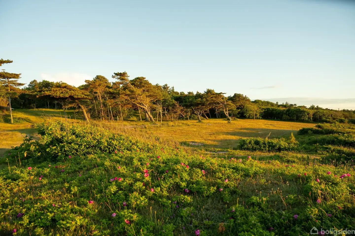 SJÆLDEN MULIGHED VED A.P. MØLLER-GRUNDEN – KUN 400 METER TIL STRANDEN - View 5