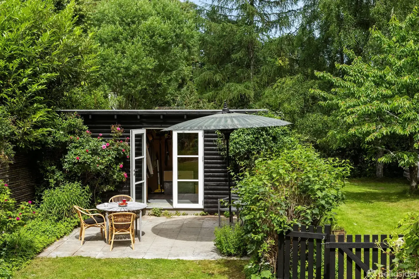 Skoven som nærmeste nabo - Visning 3