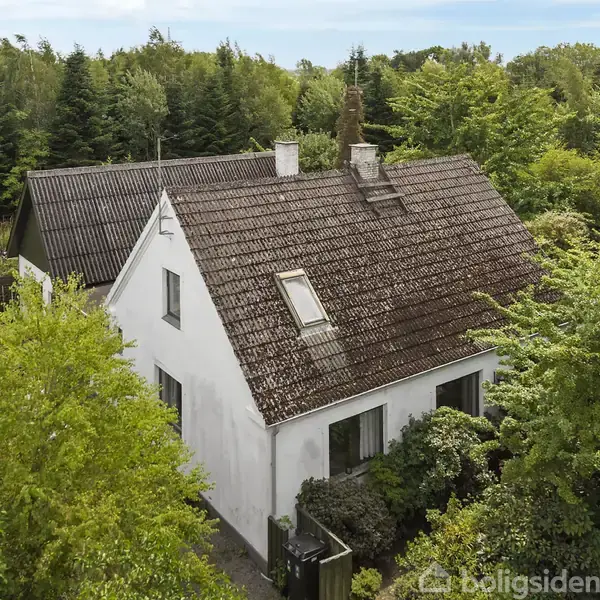 Hvidt hus med mørkt skråt tag, omgivet af frodige grønne træer og buske. Tæt ved ses en skovkant.