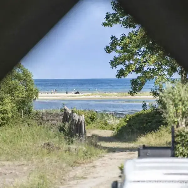 Et kystlandskab ses gennem en åbning, der fører til en strand med folk i det fjerne. Grønt græs og træer omkranser stien, der leder mod havet.