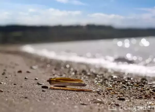 En skaldyrsskal ligger stille på sandstranden omgivet af småsten, mens bølgerne roligt slår ind mod kysten under en blå himmel. Ingen tekst er synlig.