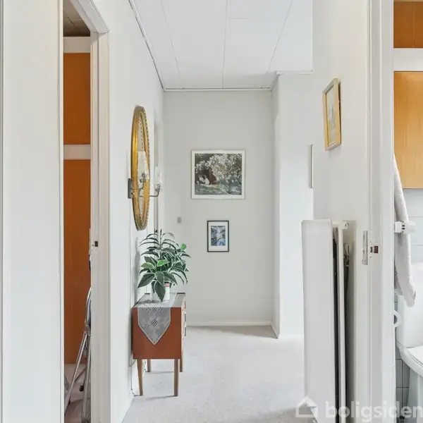 En lys gang med en lille plante på et bord, en rund vægspejl, og billeder på væggen. Døre på venstre og højre side fører til andre rum.