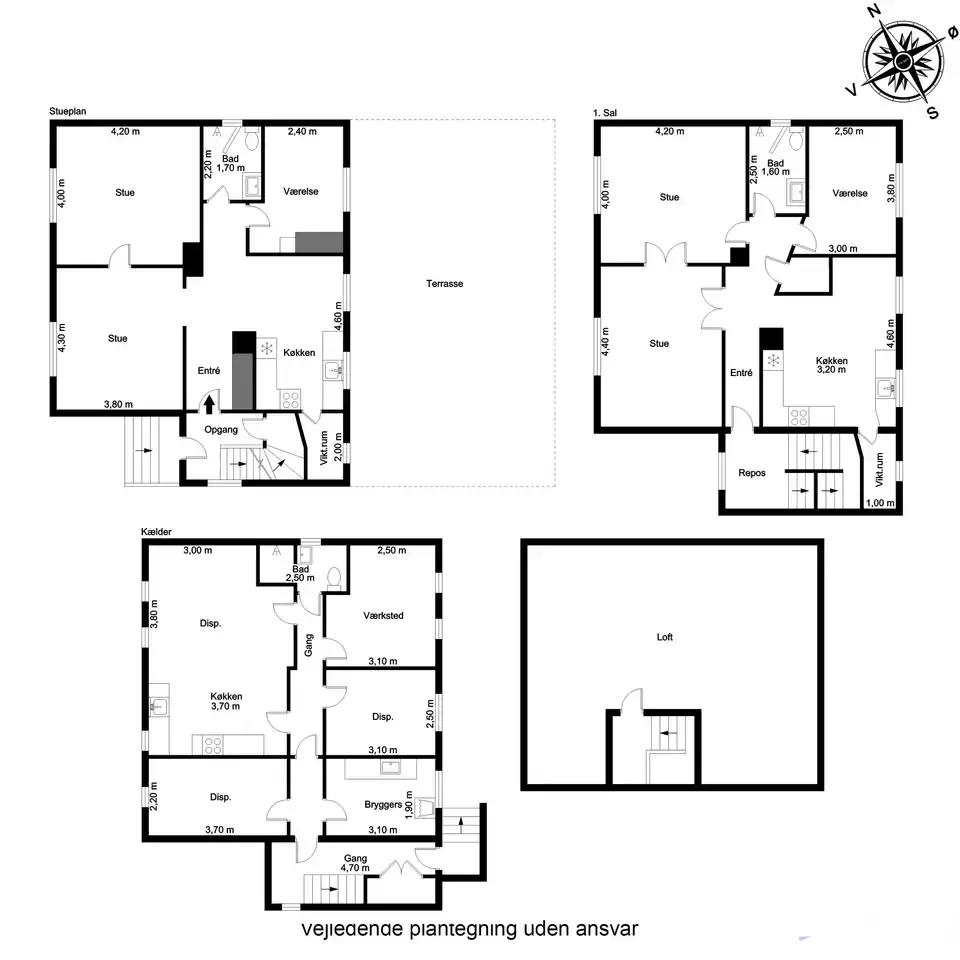 Svendborg / Centrum- Klassisk villa med stort potentiale - Visning 3