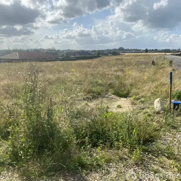 En åben græsmark med vildt græs vokser ved siden af en asfalteret vej. Skyer dækker himlen, og beboelsesstrukturer ses i horisonten.
