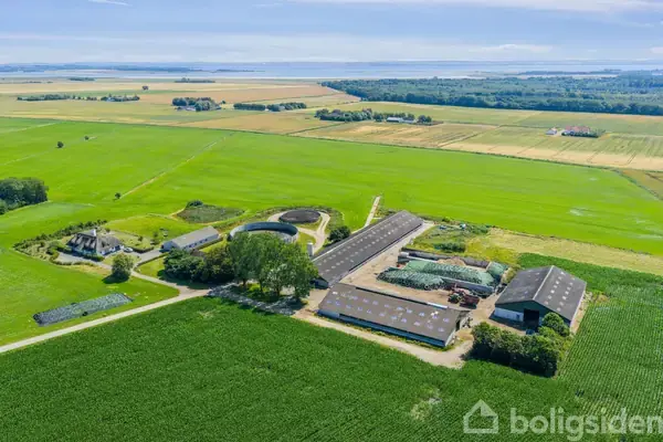 Kvæggård/-jord på Langholmvej 2, 9460 Brovst