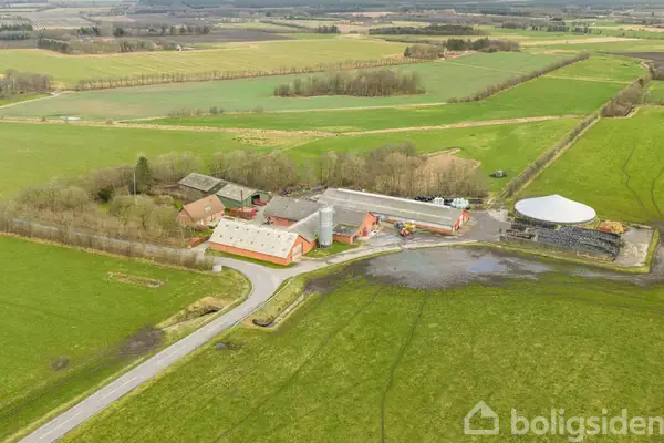 Kvæggård/-jord på Hesselåvej 31, 7500 Holstebro