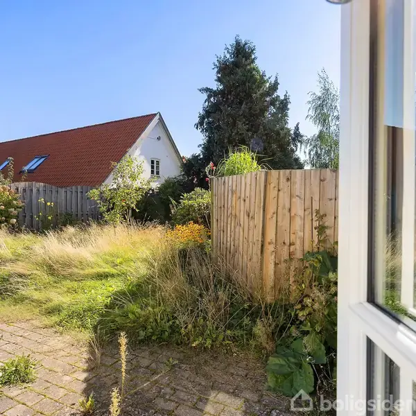Gårdhave med højt græs gror vildt, omkranset af trægærde; rødt taghus og store træer ses i baggrunden, vises gennem glasdør på en solrig dag.