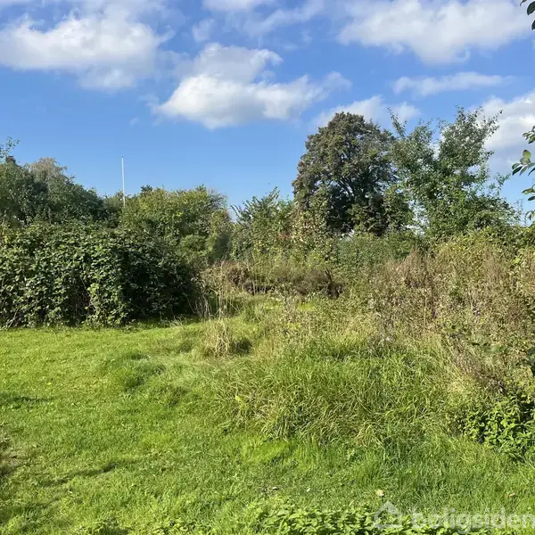 Græsstræk er omgivet af buske og træer under en blå himmel med få skyer i en frodig have.