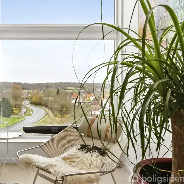 En stol med en pels ligger foran et stort vindue, der viser en vej og landskab udenfor. En stor plante står ved siden af stolen.