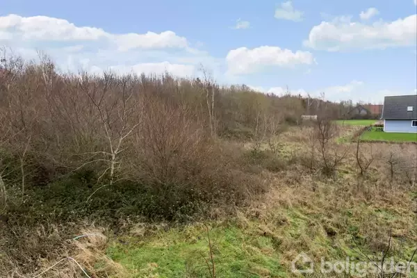 En åben mark med tætvoksende buske og træer, beliggende ved siden af et moderne hus med hvid facade under en blå himmel med spredte skyer.