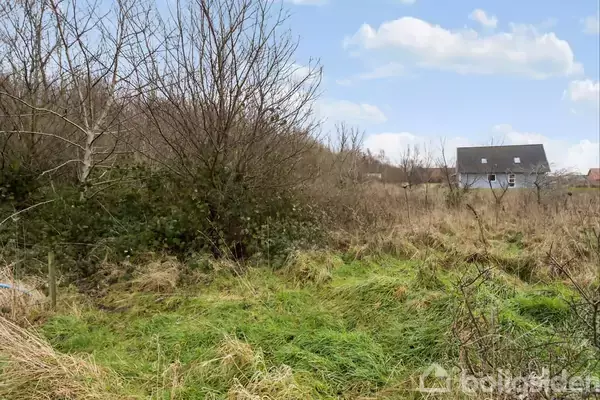 Græs og buske vokser vildt i et åbent område; i baggrunden ses et enkelt, hvidt hus. Himmel er delvist dækket af skyer.