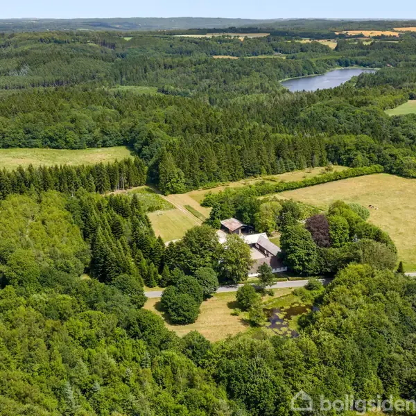 En hvid bygning omgivet af store træer ligger midt i et frodigt skovlandskab. Omkring bygningen ses åbne marker og en skovsø i baggrunden, hvilket giver en rolig atmosfære.