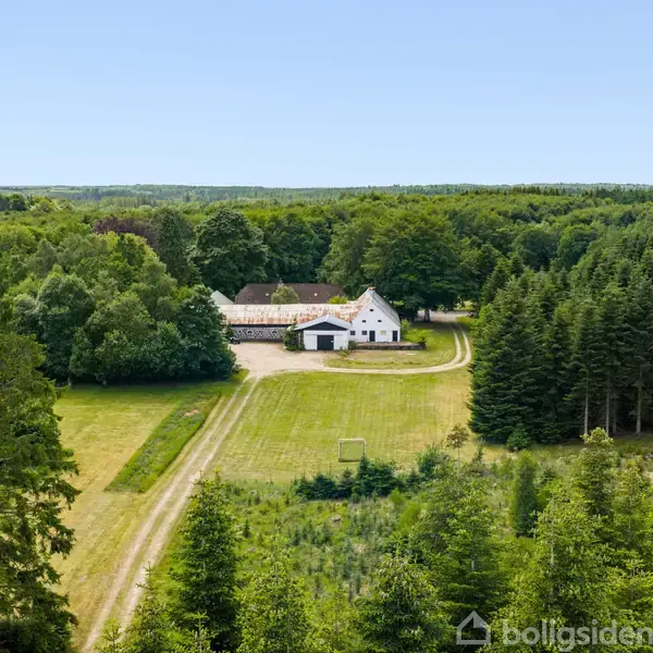 Et hvidt hus ligger ensomt i midten af en skovrig, frodig landskab. Grusveje fører til ejendommen, omkranset af tæt bevoksede træer under en klar blå himmel.