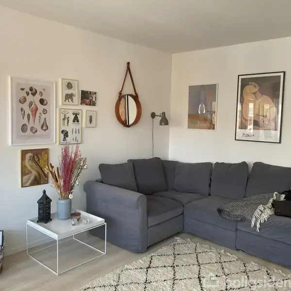 Grå sofa står i hjørne med puder, tæppe og vedhængslampe. Billeder og spejl hænger på væggen. Hvidt sofabord med bøger og vase. Lys stue med tæppe.