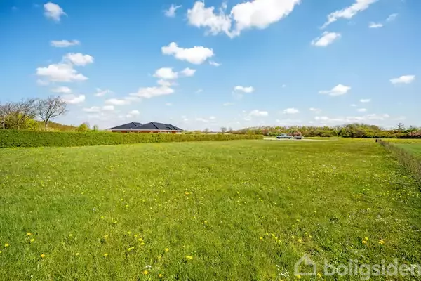 En grøn eng med gule blomster under en blå himmel med hvide skyer; i baggrunden ses et sorttagshus og et parkeret køretøj langs en hæk.