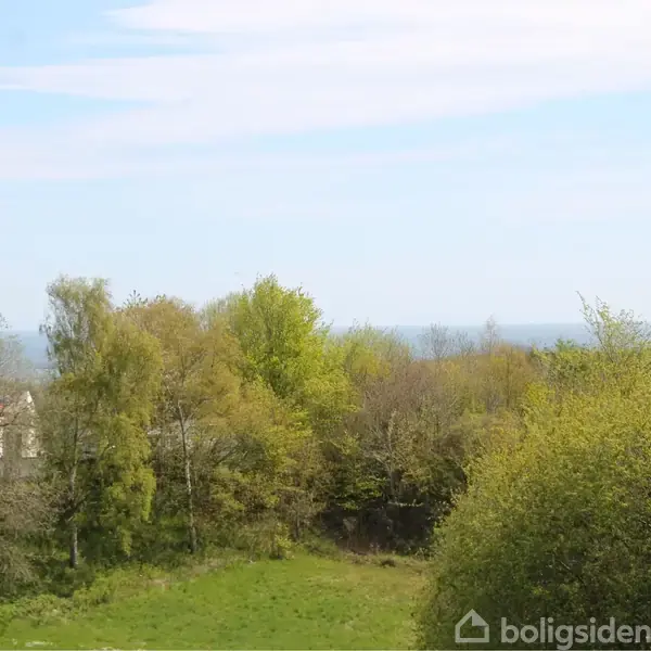 Træer står tæt sammen i en frodig, grøn eng omgivet af en blå, let skyet himmel. I baggrunden er der udsigt til et landskab med mere vegetation.