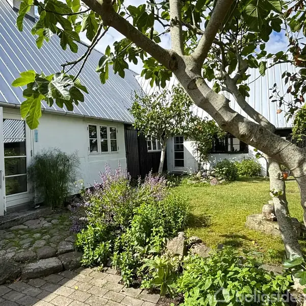 Et træ står i en have med græs og blomster, ved siden af et hus med hvide vægge og store vinduer, under en skyfri himmel.