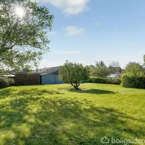 Græsplæne oplyst af sol, omgivet af træer og buske i en villahave. En garage og taghuse ses i baggrunden under en blå himmel med skyer.