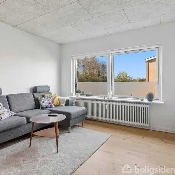 Grå sofa står i en lys stue med hvidt væg-til-væg tæppe og trægulv. Store vinduer lader naturligt lys ind, udsigt til blå himmel og grønne træer.