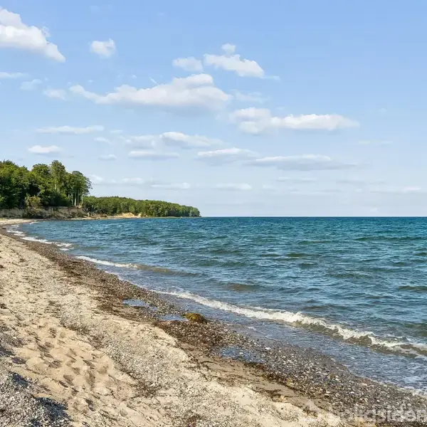 Strand med bølger slår mod kysten, omgivet af sand og tang. I baggrunden er der en skov langs kystlinjen under en skyfri, blå himmel.