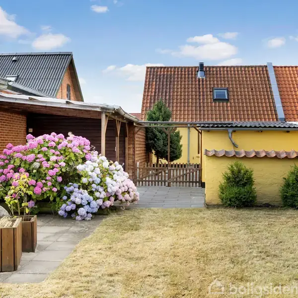Blomsterbusk med lyserøde og lilla blomster står ved siden af et flisebelagt område i haven, omgivet af gule bygninger og en brun låge.