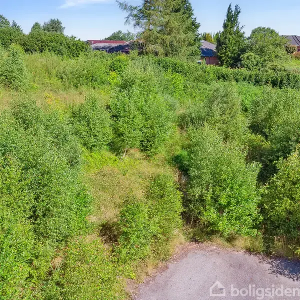 En stor grund med tæt bevoksning af grønne buske og træer. Stier snor sig mellem vegetationen. Omkringliggende huse ses i baggrunden under en blå himmel. Ingen tekst til stede.