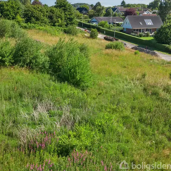En frodig, uplejet mark fyldt med græs og buske ligger langs en vej i et villakvarter med huse og træer i baggrunden.
