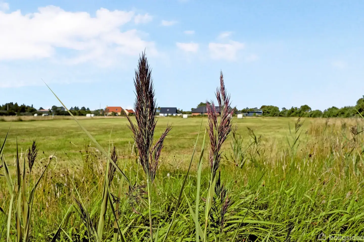 Grunde i Stenbjerg, Thy - midt i Nationalparken. - Visning 4