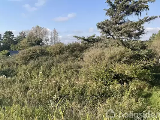 Fritidsgrund på Stubbe Strandvej 6A, 4900 Nakskov