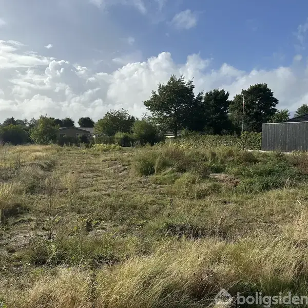 En åben græsmark står uberørt, omkranset af træer og et sort plankeværk. Himlen er delvist overskyet med sollys, der bryder igennem skyerne.