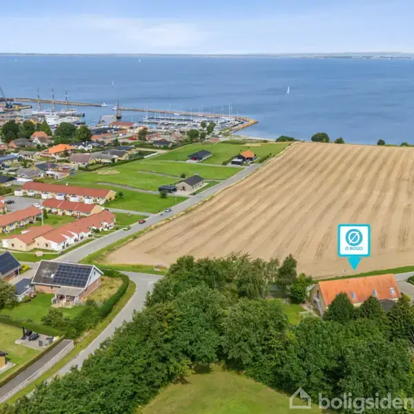 To hvide stole står stille på en stenet grund. De er vendt mod en grøn mark og havet i baggrunden, under en blå himmel med spredte skyer.