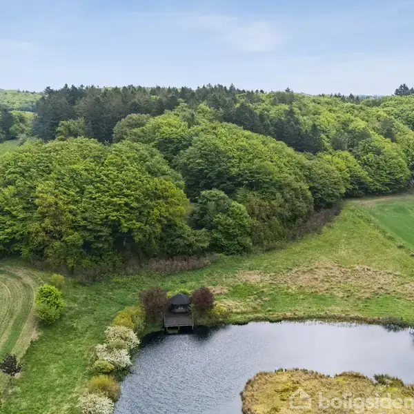 En lille sø omgivet af frodige buske og træer. En træhytte står ved kanten af søen. Skoven strækker sig bagved, under en blå himmel.
