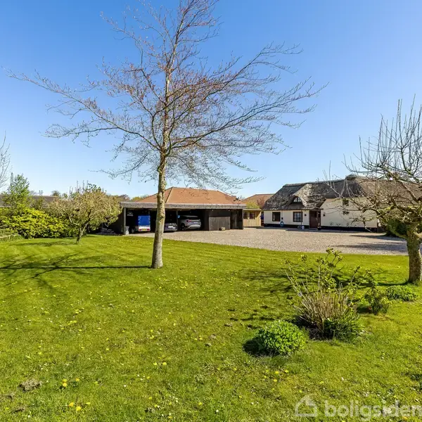 Et træ står på en grøn græsplæne, omgivet af buske og øvrige træer. I baggrunden ses en carport og et hus under en klar blå himmel.