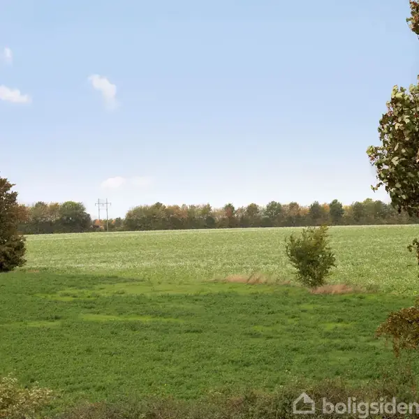 Grønt marklandskab med træer i baggrunden under en klar blå himmel. Enkelte buske og mindre træer omkranser marken.