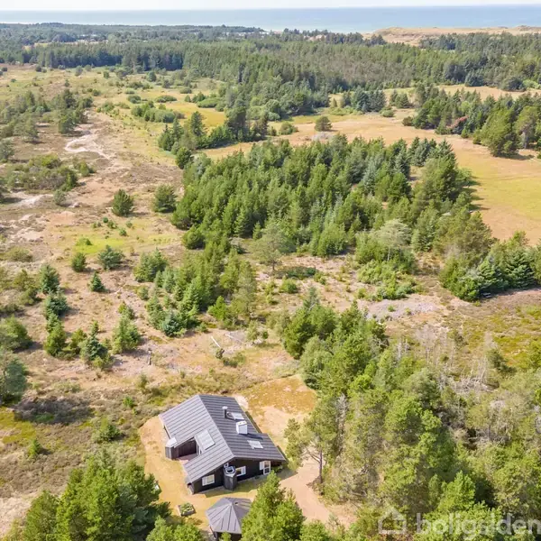 Et sommerhus står i en lysning omgivet af skov i et kuperet landskab. Skovklædte bakker strækker sig mod horisonten.