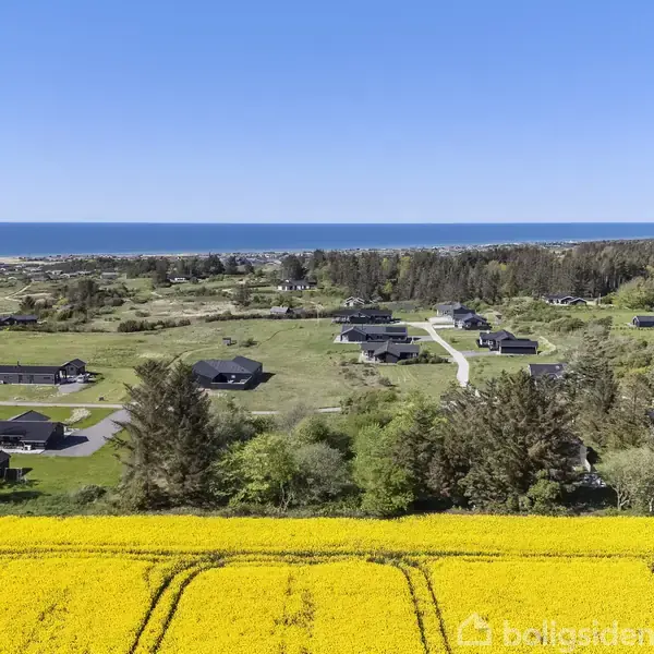 Gule rapsmarker strækker sig ud i forgrunden, mens sorte huse er spredt i landskabet. I baggrunden ses skov og hav under en klar blå himmel.