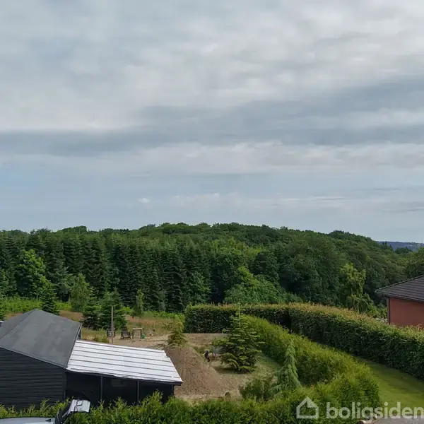 Tæt skovområde strækker sig i det kuperede landskab med forskellige træsorter. Grønne stier ses mellem trækronerne, og horisonten viser mere skov og åbne marker i baggrunden.
