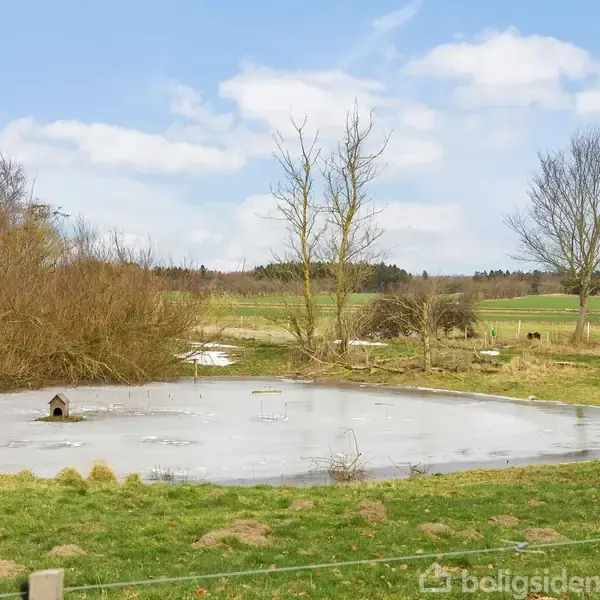 En lille dam er frosset til is, omgivet af græsarealer med træer i baggrunden. Overfladen har et lille fuglehus. Landskabet er åbent, med marker i det fjerne.
