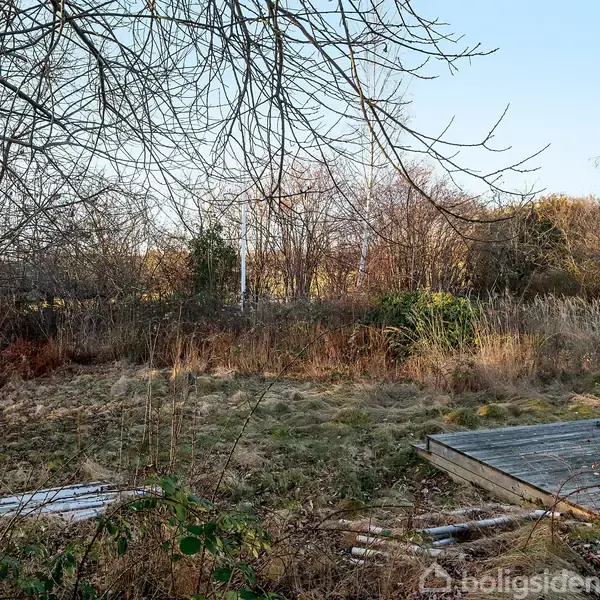 Tørt græs og buske breder sig i et overgroet område med træer i baggrunden, mens en platform står delvist skjult blandt vegetationen.