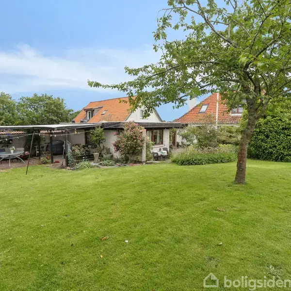En grøn have med en enkeltstående træ, indeholder en overdækket terrasse til højre og et hus med rødt tag i baggrunden, omgivet af frodig vegetation.