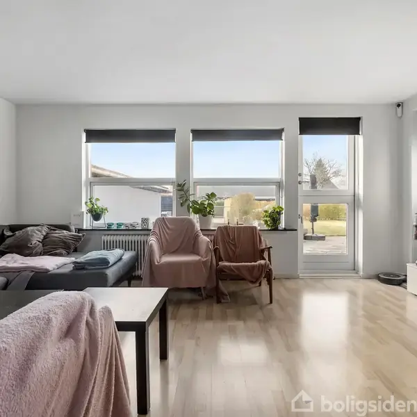 Stue med grå sofa og to lænestole dækket med tæpper, vendt mod et lavt tv-møbel med fladskærm. Store vinduer fylder rummet med lys, og planter står på vindueskarmen.