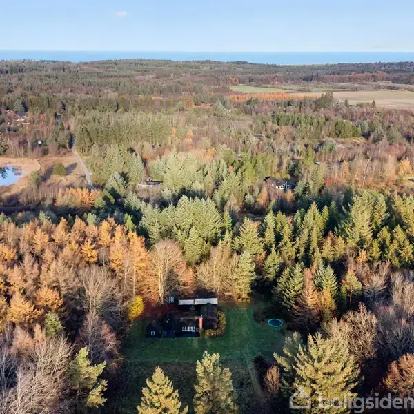 Hus omgivet af en tæt skov med nåletræer; et lille vandløb ses i det fjerne. Landskabet er kuperet og strækker sig langt ud i horisonten.